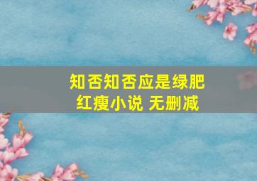 知否知否应是绿肥红瘦小说 无删减